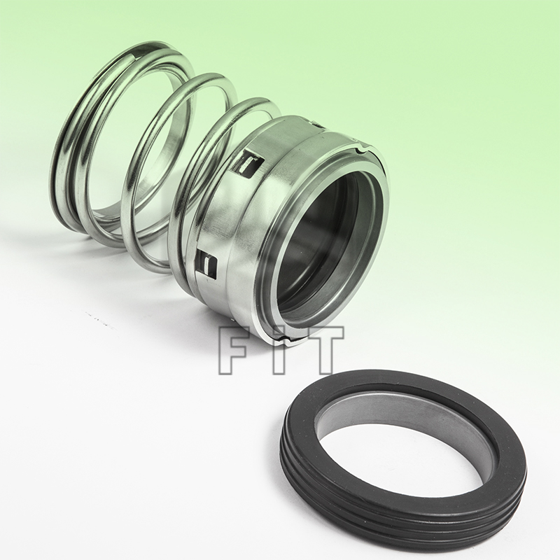 Elastomeer balg mechanische afdichtingen FT1